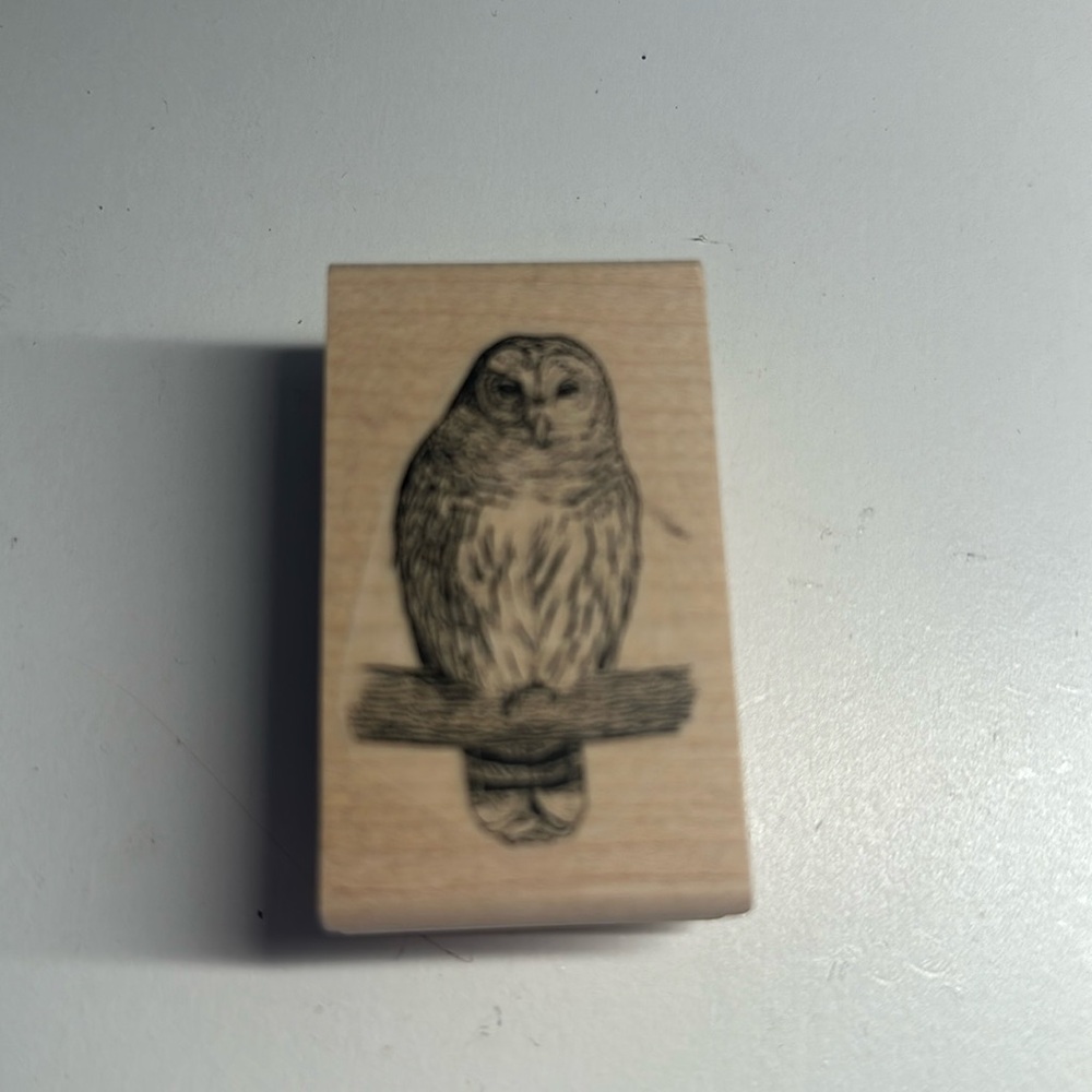 Owl rubber stamp